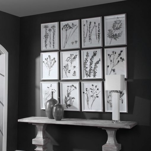 Contemporary Botanicals Framed (Various)