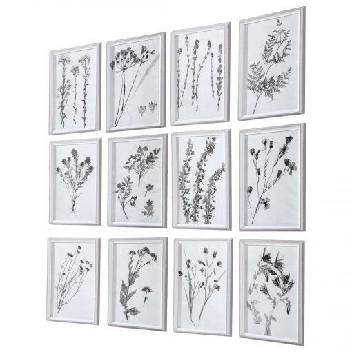 Contemporary Botanicals Framed (Various) - Image 2