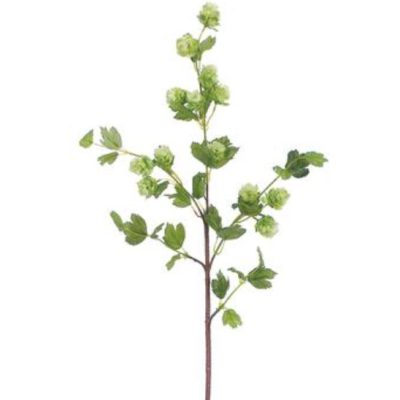 Hop Spray GR 36"