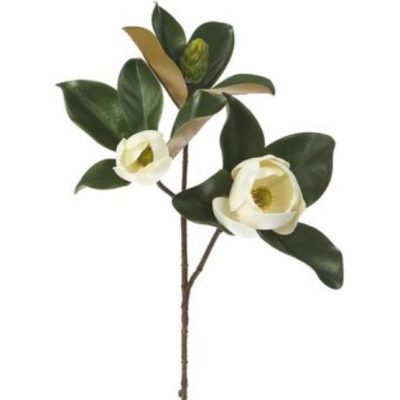 Magnolia Spray WH 28"