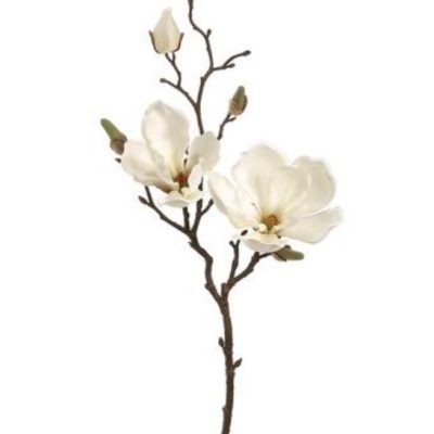 Magnolia Spray CR 19"