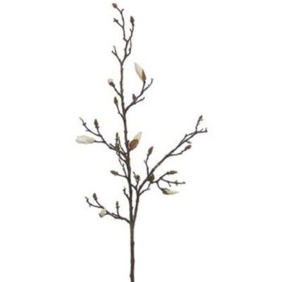 Magnolia Bud Spray CR 53"