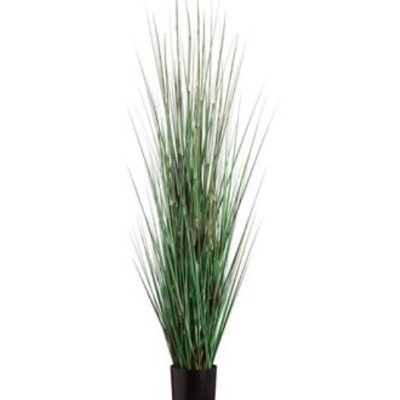 Grass/Horse Tail Plant 60"