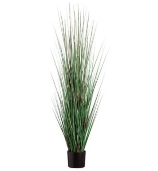 Grass/Horse Tail Plant 60"