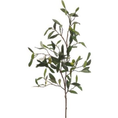 Olive Spray 30"