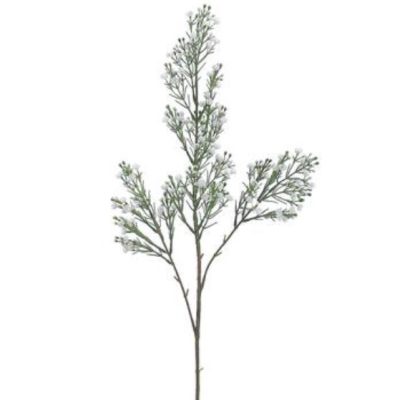 Gypsophila Spray (32")