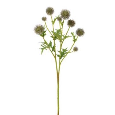 Globe Thistle Spray (28")