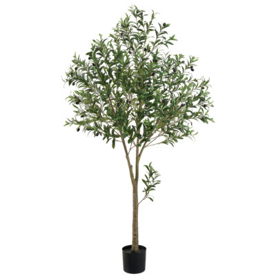 Olive Tree 72"