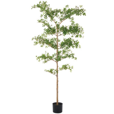 Shady Lady Tree 8'