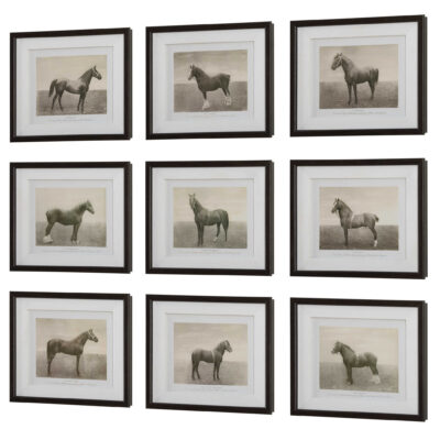 Equine Dynasty Art