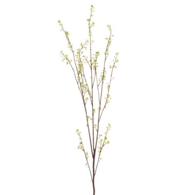 Berry Branch Green (45")
