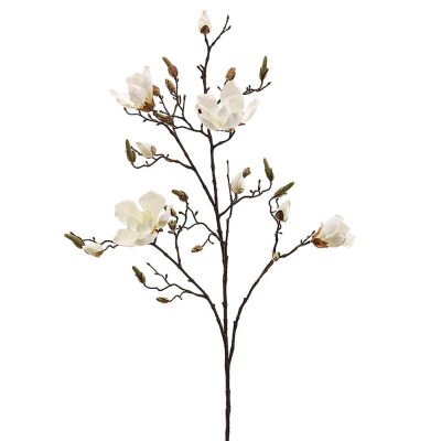 Magnolia Spray 40"