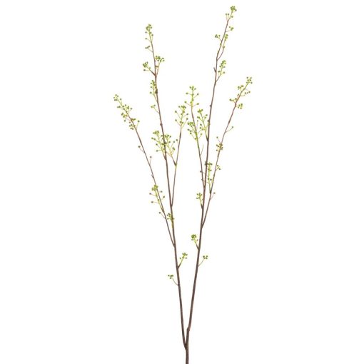 Berry Branch 37"