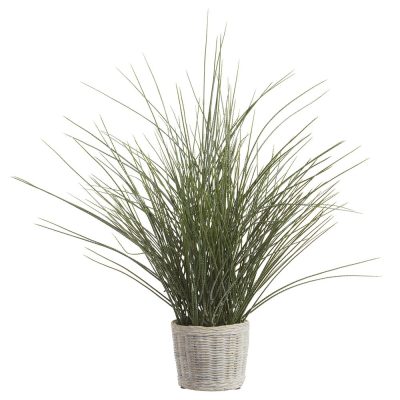 Grass in Cement Pot 24"