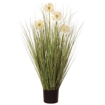 Dandelion Grass in Pot 36"