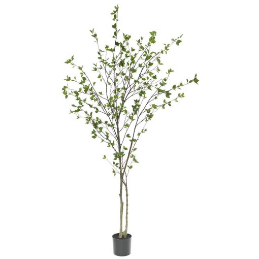 Black Olive Tree 94.5"