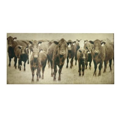 Bovine Canvas Art