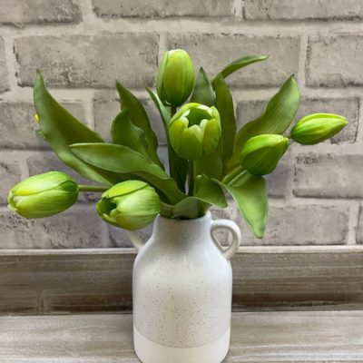 Green Tulip Bundle 12"