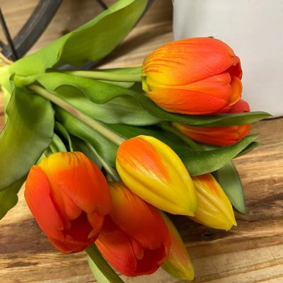 12" Orange Tulip Bundle