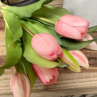 12" Pink Tulip Bundle