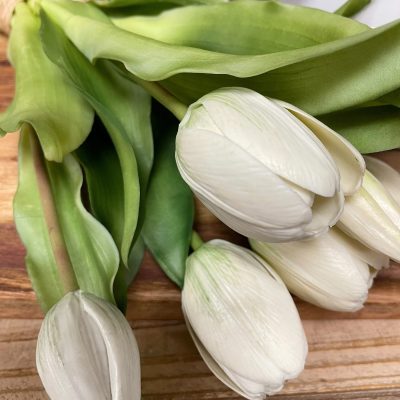 12" White Tulip Bundle