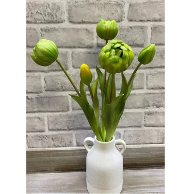 Green Peony Tulip Bundle
