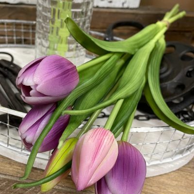 16" Lavender White Tulip