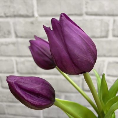 10" Mini Wild Purple Tulip Bundle