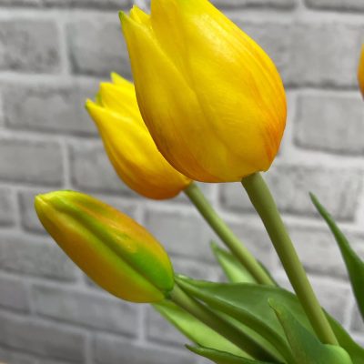 10" Mini Wild Yellow Tulip Bundle (Copy)