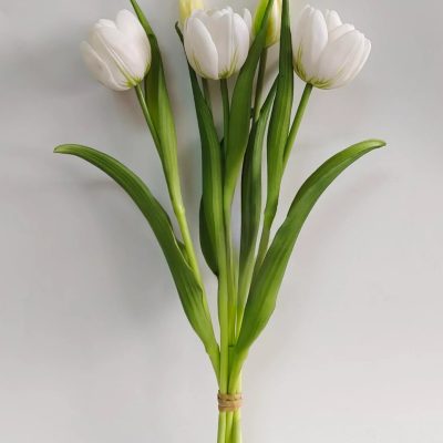 16.5" White Double Late Tulip Bundle