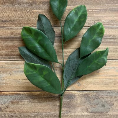 20" Magnolia Leaves Spray