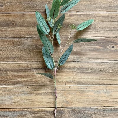 29" Willow Eucalyptus Spray